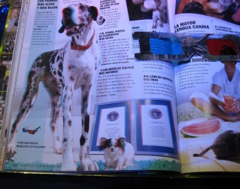 LIBROS GUINNESS DE LOS RECORDS 005